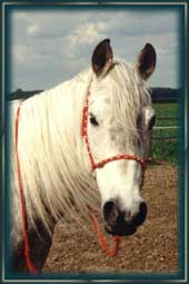 "Hannah Morafic" (9 Jahre)