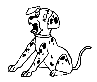 Welche Pl�tze f�r den Hund?