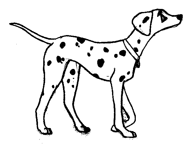 Wer ist hier der Bo�?